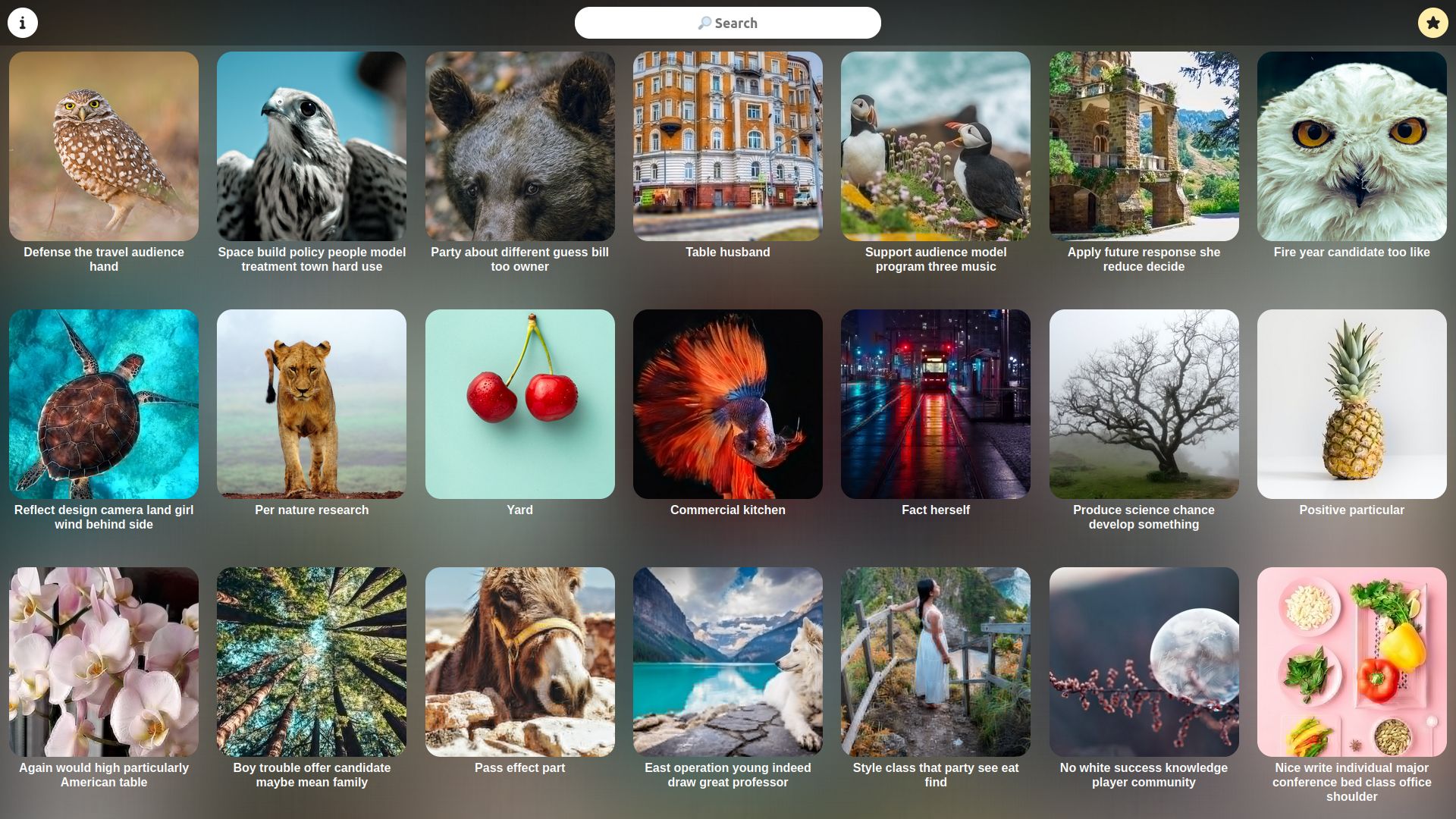 Screenshot of Image Gallery by k327